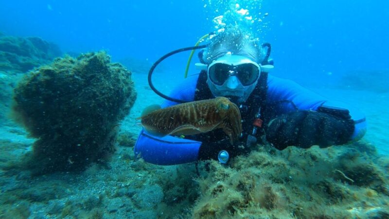 Tenerife: Scuba Diving Lesson and Abades Protected Area Dive - Who Should Consider This Scuba Tour?