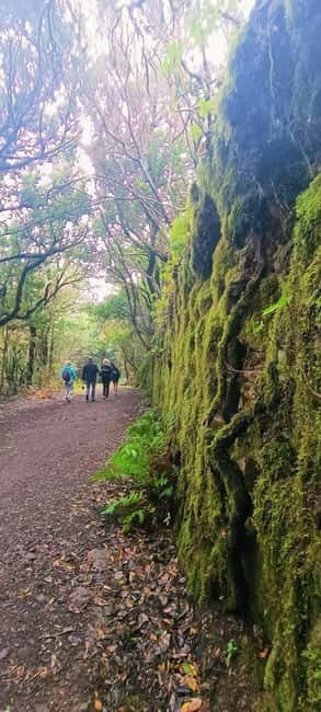 Tenerife: Senderismo Anaga, Bosque Mágico, Reserva Biosfera - Key Points