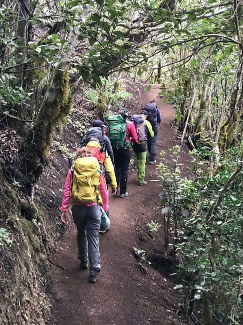 Tenerife: Senderismo Anaga, Bosque Mágico, Reserva Biosfera - From the Meeting Point to the Forest Walk