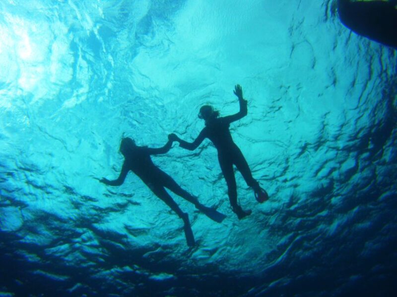 Tenerife: Snorkel with Turtles - How This Tour Compares to Similar Experiences