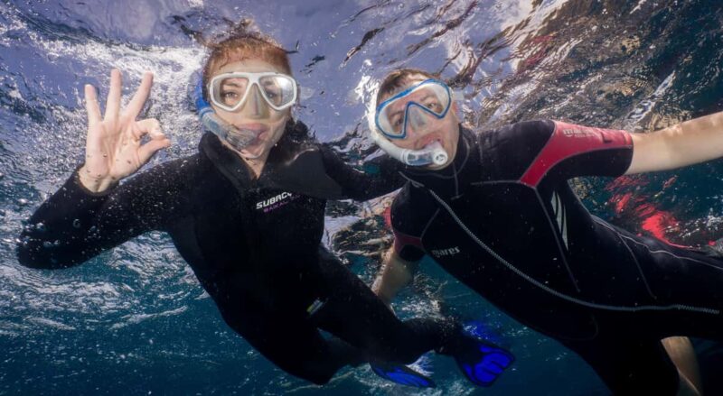 Tenerife: Snorkeling to look for Turtles and Rays - Key Points