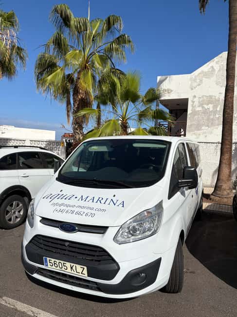 Tenerife: Snorkeling to look for Turtles and Rays - Physical Requirements and Suitability