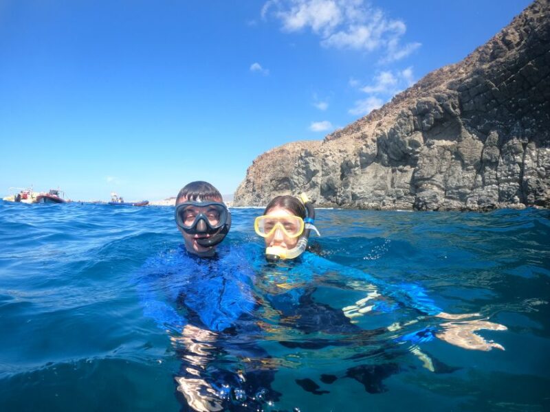 Tenerife: Snorkeling Trip in a Turtle Habitat - What Happens in Case of Weather Changes?
