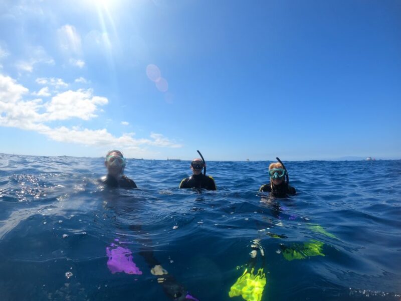 Tenerife: Snorkeling Trip in a Turtle Habitat - Price and Value for Money