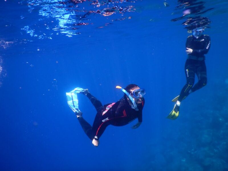 Tenerife : Snorkeling underwater with freediving Instructor - The Equipment and Photos: Making the Most of Your Snorkeling