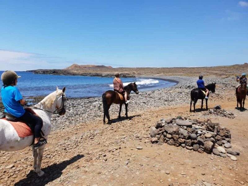 Tenerife South: Private Horseback Riding to the Coast - Tenerife South’s Exclusive Private Horseback Experience