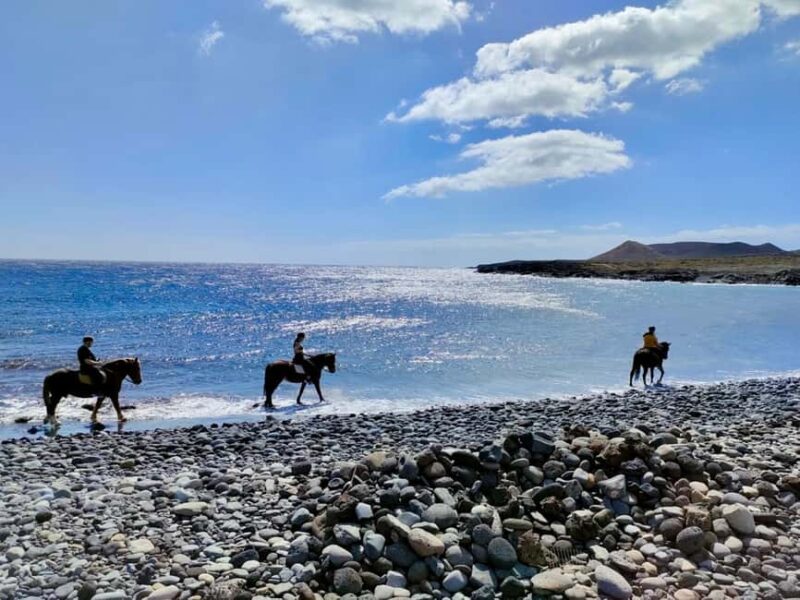 Tenerife South: Private Horseback Riding to the Coast - Personalized Attention and Expert Guiding