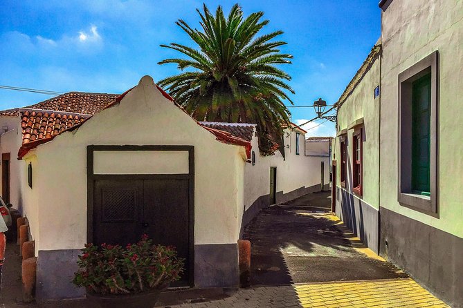 Tenerife South Private Tour: Secrets of the Volcanoes - The Convenience of Private Transport in a Luxury Electric Vehicle