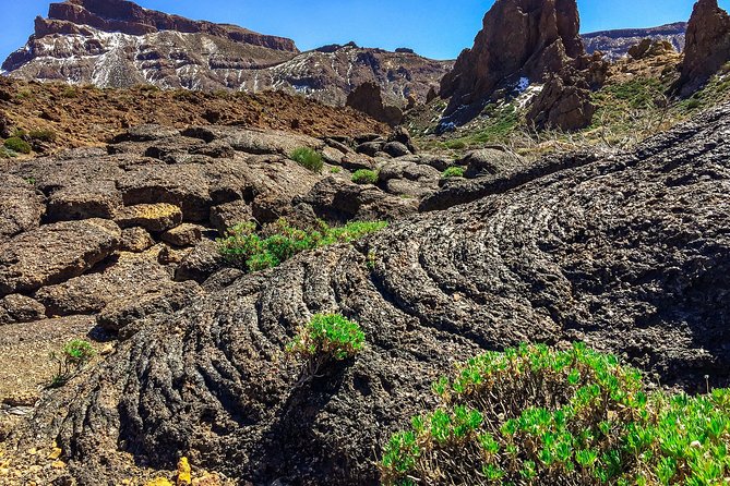 Tenerife South Private Tour: Secrets of the Volcanoes - Vilaflor: Water Use and Farming Terraces in a High-Altitude Village