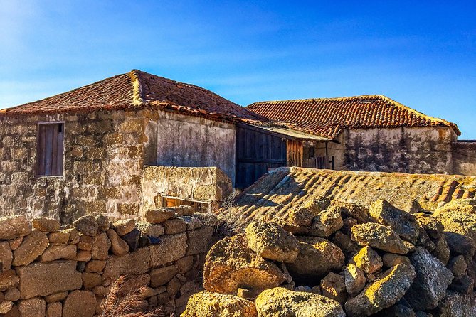 Tenerife South Private Tour: Secrets of the Volcanoes - Practical Details: What’s Included and What’s Not
