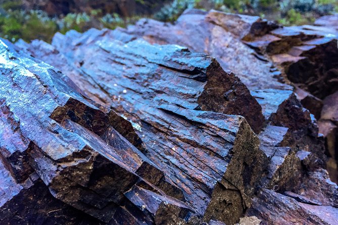 Tenerife South Private Tour: Secrets of the Volcanoes - Flexibility and Peace of Mind with Cancellation Policy