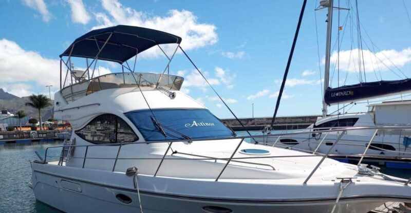 Tenerife south: safari with luxury boat , animals encounters - Whale Encounters: A 100% Chance to See Pilot Whales