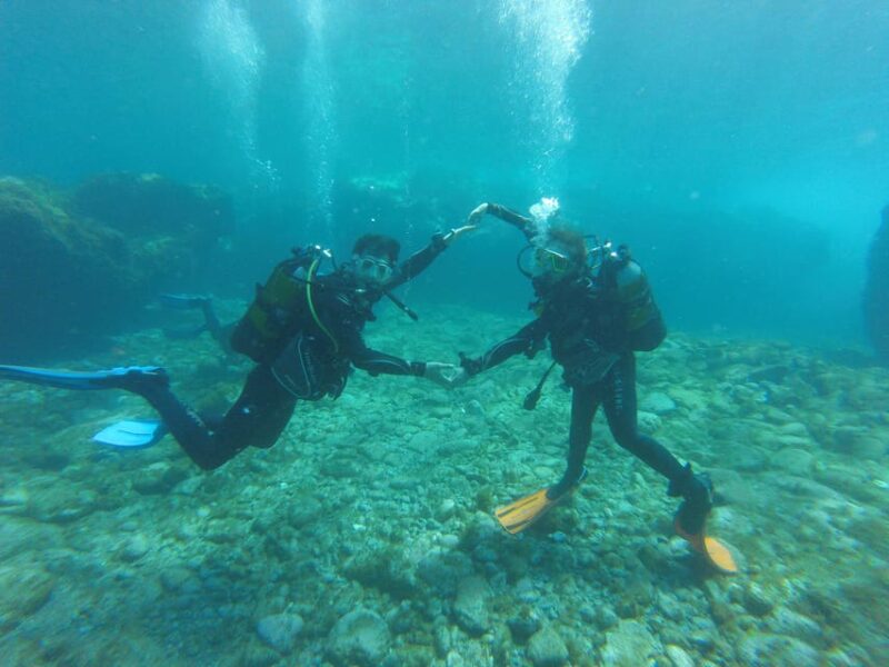 Tenerife south: Scuba Dive for beginners in Adeje - Logistics and Meeting Points