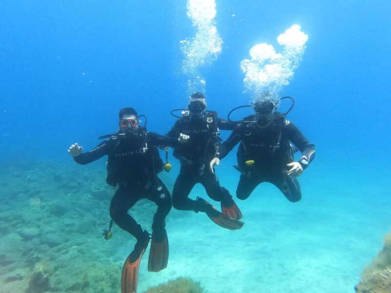 Tenerife south: Scuba Dive for beginners in Adeje - Who Should Consider This Tour