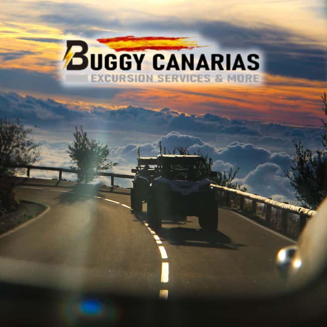 Tenerife: Sunset Tour in a 4-Seater Buggy - Wildlife Encounters and Scenic Photography Breaks