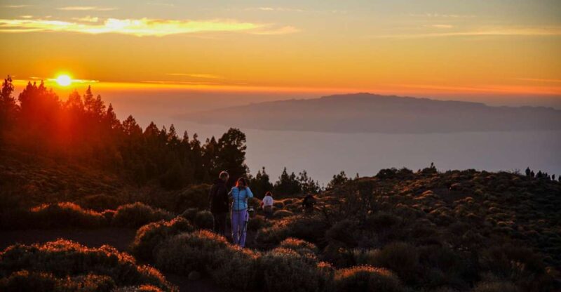 Tenerife: Sunset Volcano Teide Buggy Tour - Off-Road Thrills in Teide National Park