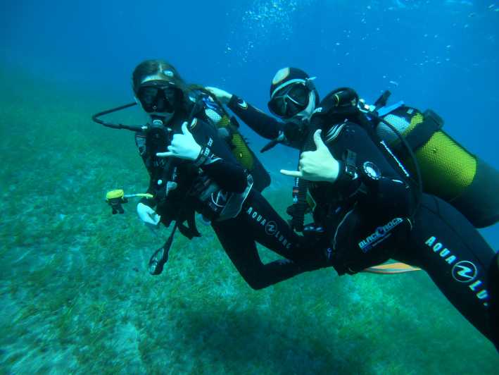 Tenerife sur: Buceo para principiantes en Adeje - Exploring Tenerife’s Marine Biodiversity