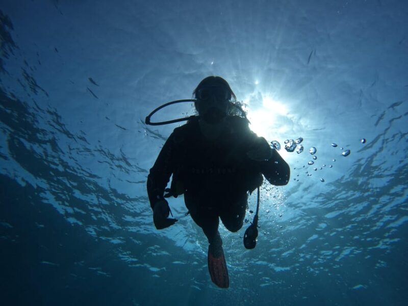 Tenerife sur: Buceo para principiantes en Adeje - What’s Not Included
