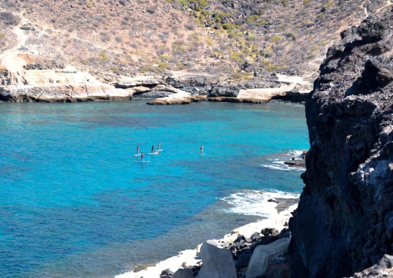 TENERIFE SUR | unforgettable SUP - SNORKELING EXPERIENCE - Meeting Point and Logistics in La Caleta de Adeje