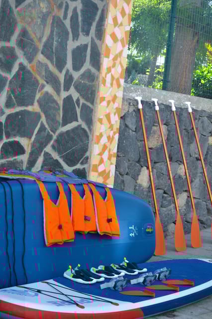 TENERIFE SUR | unforgettable SUP - SNORKELING EXPERIENCE - The Scenic Highlights and Underwater Views