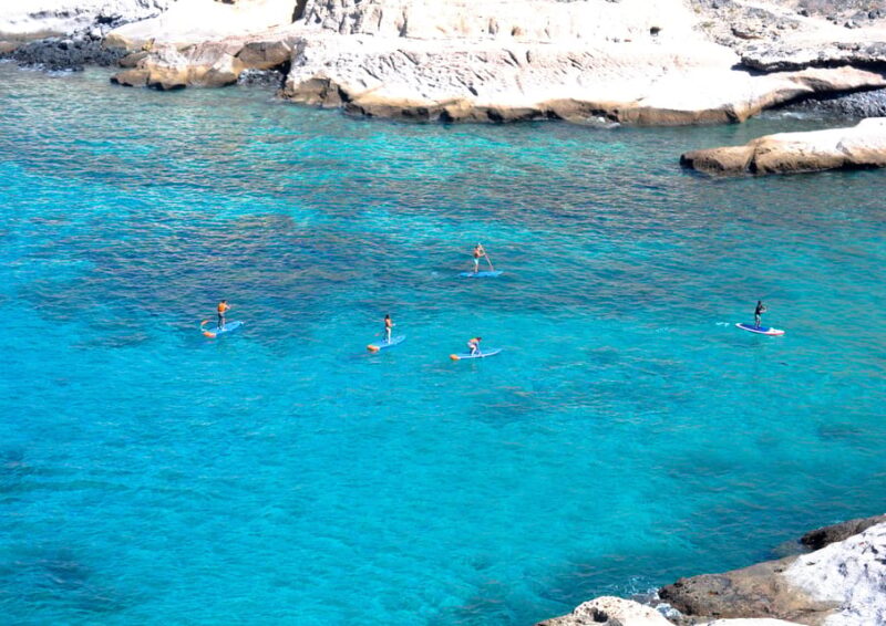 TENERIFE SUR | unforgettable SUP - SNORKELING EXPERIENCE - The Pacing and Duration of the Tour