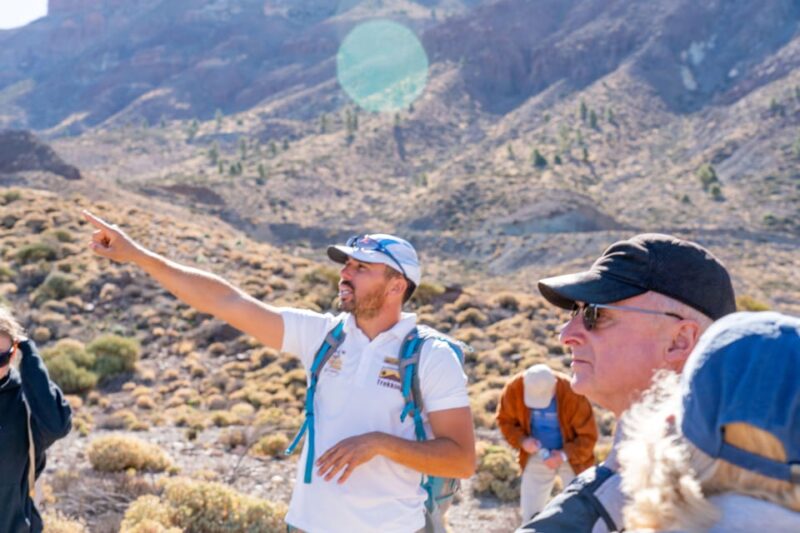 Tenerife : Teide Hiking - Tenerife: Teide Hiking Tour The Sum Up