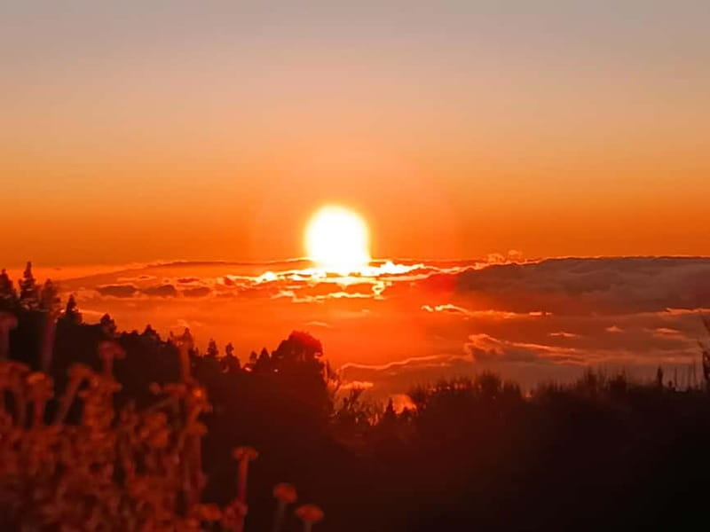 Tenerife: Teide, Masca, Garachico, and Sunset Exclusive Tour - Tenerife’s Perfect Day Trip for Nature and Culture Lovers