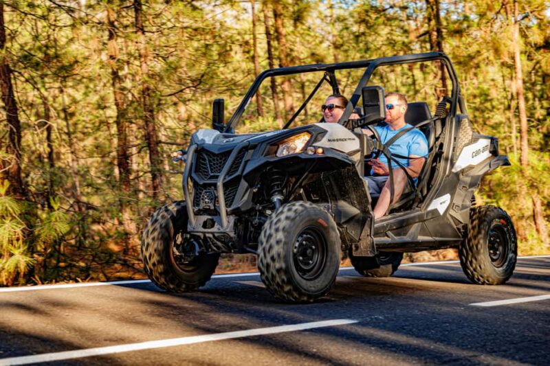 Tenerife: Teide Mountain Buggy On-Road GuidedTour with drink - Key Points