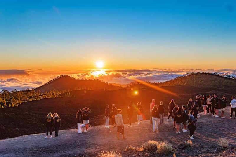 Tenerife: Teide Mountain On-Road Guided Quad Tour with drink - Key Points