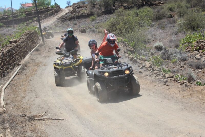 Tenerife: Teide National Park Day or Sunset Tour on Quads - Who Should Consider This Quad Adventure?