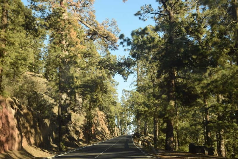 Tenerife: Teide National Park Sunset Quad Tour - Practical Tips for Participants