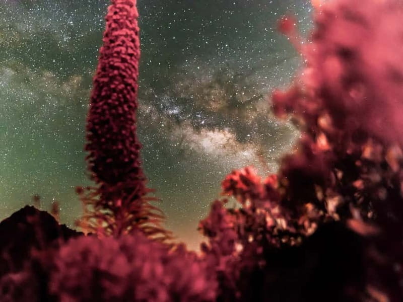 Tenerife: Teide Stargazing with an Astrophysicist - The Telescope and Equipment Used