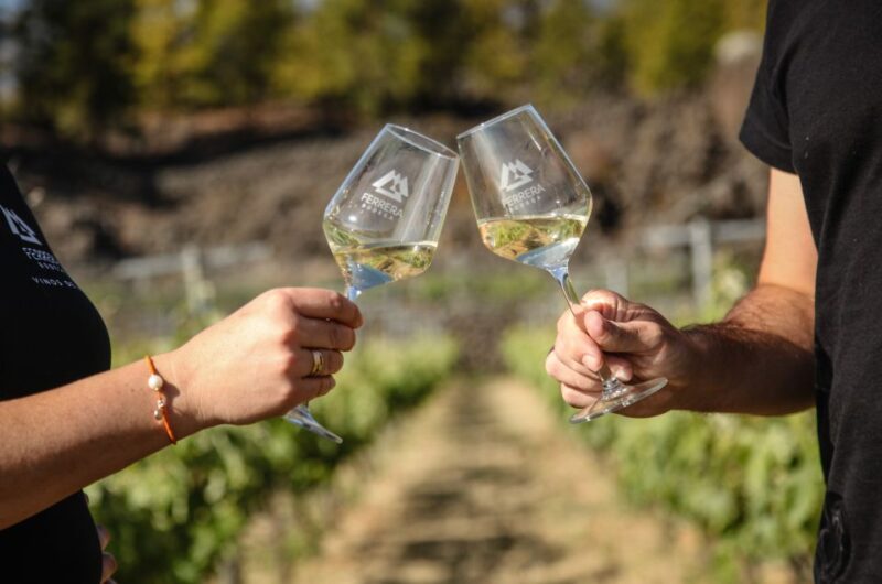 Tenerife: Tour of an Organic Vineyard with Tasting & Snacks - Tasting Four Wines: From the Hilltop to the Table