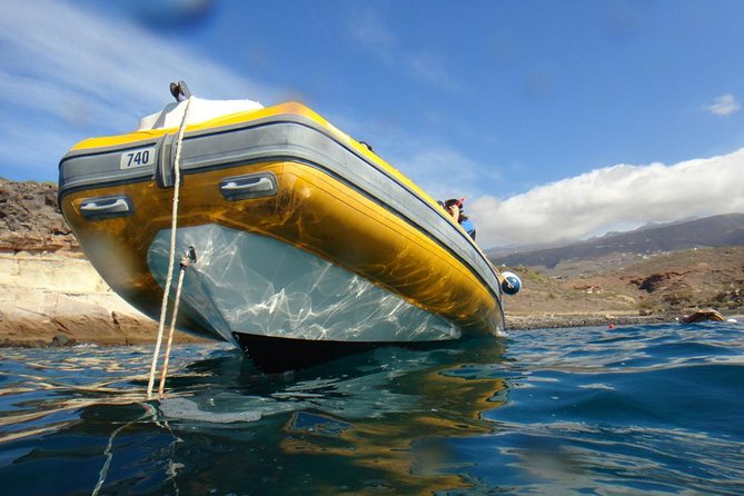 Tenerife Turtle and Snorkel Tour from Costa Adeje - Comparing this Tour to Similar Experiences