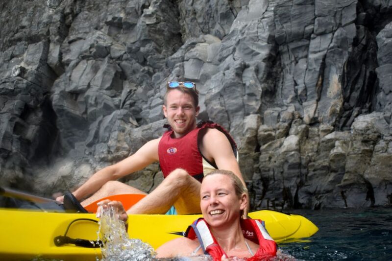 Tenerife: Turtle & Dolphin Kayak Tour with Snorkel & Wetsuit - The Marine Wildlife You Might Encounter