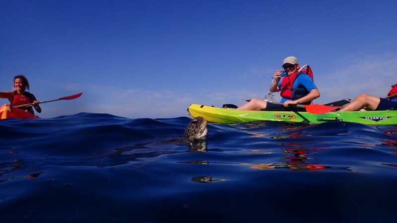 Tenerife: Turtle & Dolphin Kayak Tour with Snorkel & Wetsuit - Comfort and Safety Features on the Kayaks
