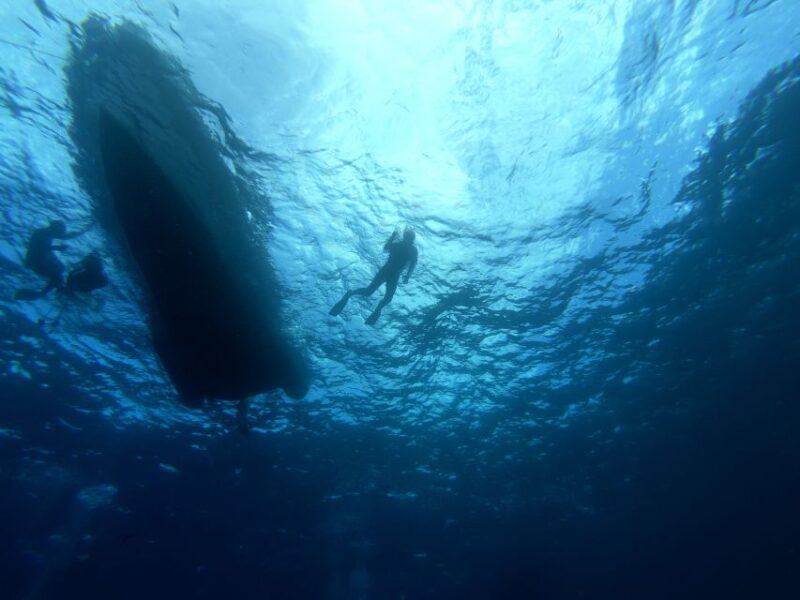 Tenerife: Underwater Lava Tongues Snorkel Excursion - Marine Life and Volcanic Formations Visible Underwater