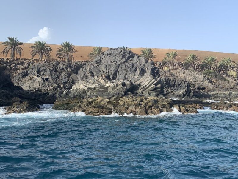 Tenerife: Underwater Lava Tongues Snorkel Excursion - Practical Details: Meeting Point, Group Size, and Inclusions