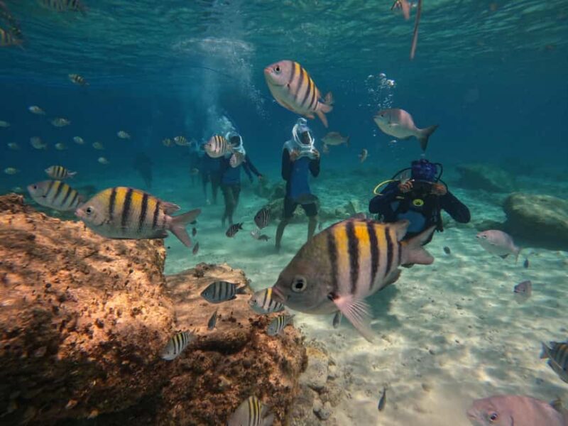 Tenerife: Underwater Walk - Sea Trek Experience - Tenerife: Underwater Walk - Sea Trek Experience Overview