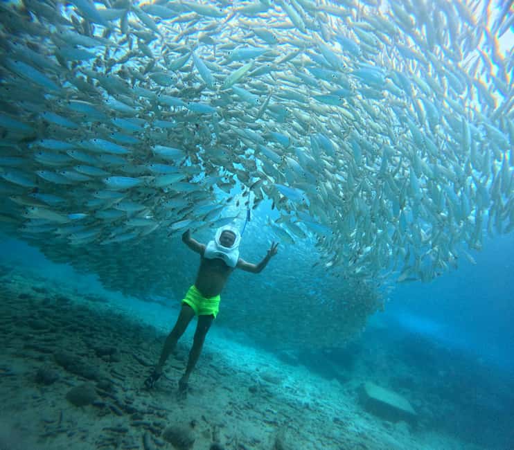Tenerife: Underwater Walk - Sea Trek Experience - The Underwater Helmet Experience: What You Can Expect