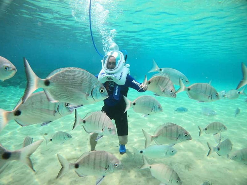 Tenerife: Underwater Walk - Sea Trek Experience - Equipment and Safety for the Sea Trek
