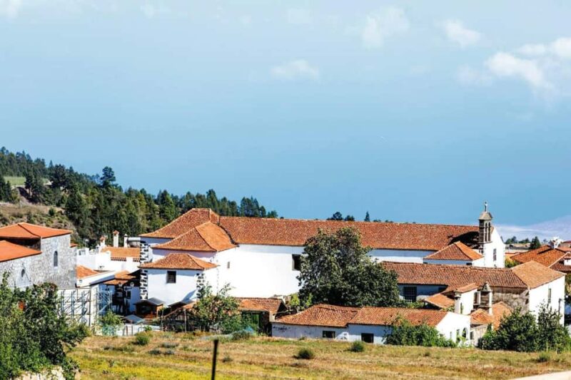 Tenerife: Vilaflor, Winery, and Aloe Vera Plantation Tour - Key Points