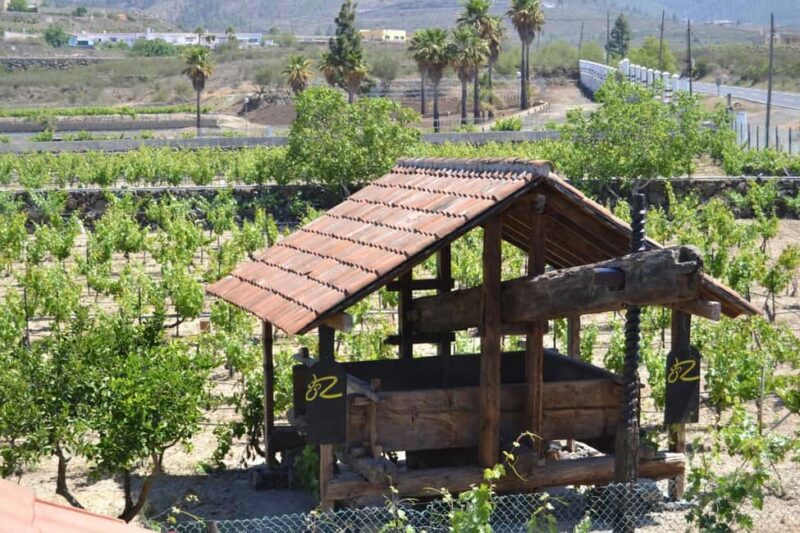 Tenerife: Vilaflor, Winery, and Aloe Vera Plantation Tour - Vilaflor: The Island’s Highest Village