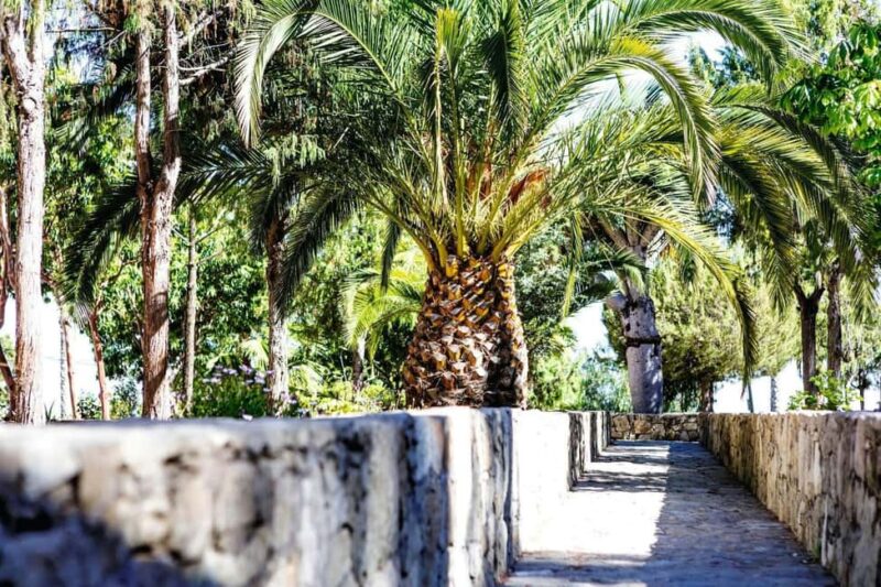 Tenerife: Vilaflor, Winery, and Aloe Vera Plantation Tour - Practical Details and Tour Logistics