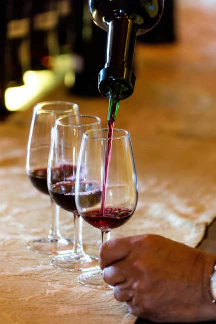 Tenerife: Vilaflor, Winery, and Aloe Vera Plantation Tour - Highlights and Unique Aspects of the Tour