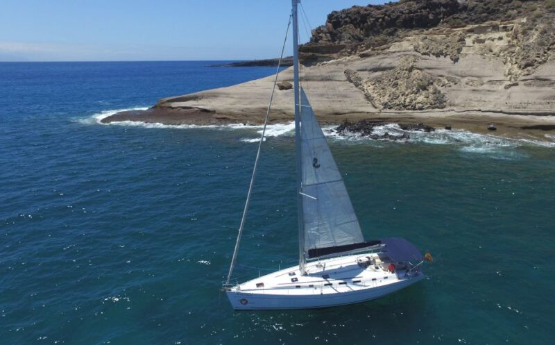 Tenerife: Whale and Dolphin Watching Tour by Sailboat - Exploring Costa Adeje by Sailboat: Scenic Views and Marine Encounters