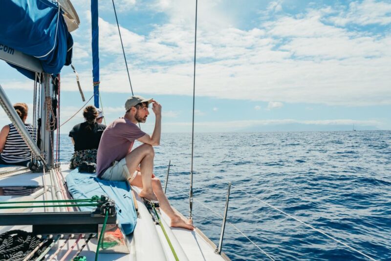 Tenerife: Whale & Dolphin Watching with Drinks and Snacks - Spotting Dolphins and Whales in Natural Habitat