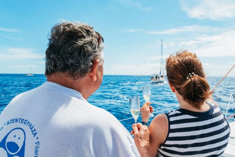 Tenerife: Whale & Dolphin Watching with Drinks and Snacks - The Experience of Smaller Boat Travel