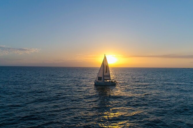 Tenerife Whale Watching and Snorkeling Yacht Trip - Crew and Guides: Friendly and Informative