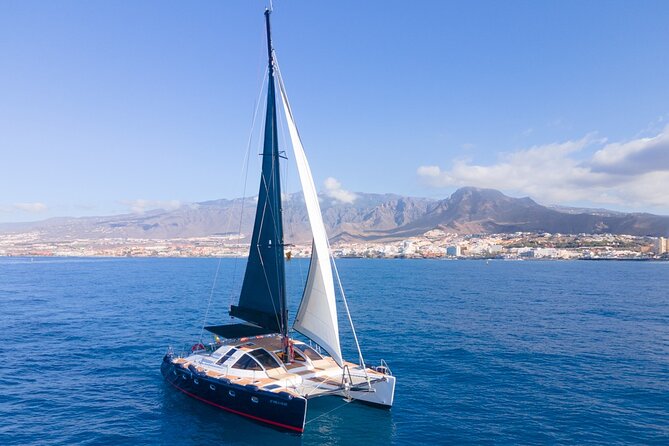 Tenerife Whales and Dolphins Watching Experience in Catamaran - Cove Stop for Swimming and Snorkeling in Crystal Clear Waters